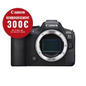CANON EOS R6 Mark II 