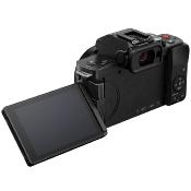 PANASONIC LUMIX G100