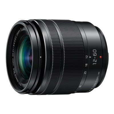 PANASONIC LUMIX 12-60 mm F:3,5-5,6 VARIO OIS 