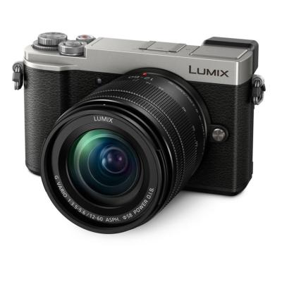 PANASONIC LUMIX GX9